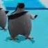 Penguin Dance