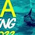 Aqua Gym Spring 2022 128 Bpm 32 Count 60 Minutes Mixed Compilation For Fitness Workout