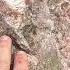 Pinkquartz Redquartz Red Pink Quartz Line Pegamtite Boulder Stone Rockhounders Rocks