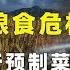 全球粮食价格暴涨有何信号 大力推行预制菜背后有什么秘密 抱朴工作室