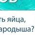 Можно ли есть яйца в которых нет зародыша птицы Александр Хакимов