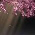 Deep Focus Relaxing Music Nerve Regeneration Study Music Asabni Tinchlantiruvchi Sokin Musiqa