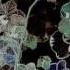 Snow Patrol Open Your Eyes Audio