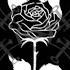 White Thorns Black Rose