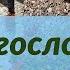 Благословен тот дом Караоке Самвел Маркосян Мудрость духа