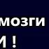 Алекса моему внуку пробует промывать мозги Единственное спасение американцев глогер сша