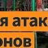 Атака на 13 областей РФ и Москву удар по заводу дронов Кремль угрожает Трампу Утренний эфир