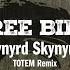 Free Bird TOTEM Remix