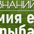 Как правильно хранить и готовить рыбу Лекция химика Валентина Новикова