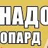 КАК НЕ НАДО НОСИТЬ ЛЕОПАРД I 5 Главных Табу Трендового Принта