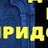 Городское фэнтези Конкурс Моран Джурич Страшные истории Мистические истории Страшилки