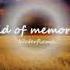 Field Of Memories Slowed