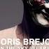 Boris Brejcha Angel In The Sky Dj Arious Remix