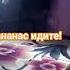 актив вернись в ананас идите слоумо
