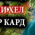 Духтаре ки аз рӯи дарахт нодухтар шуд Хеле қиссаи ибратнок Киссахои Исломи 2021 хун