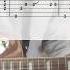 Steppenwolf Born To Be Wild TABS In Video Guitar Cover