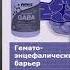 Как доставить в мозг ГАМК GABA Способ N 2
