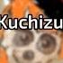 Rulyz WEAVER Kuchizuke Diamond Lemur HDDT 97 49 4 X 400PP