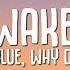 Jonas Blue Why Don T We Don T Wake Me Up Lyrics