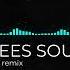 SET ME FREE REMIX SALTEES SOUNDS