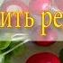 Как легко посадить редиску