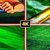 All Special Events Captain Tsubasa W Licensed Kits Maxed Out Graphics