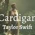 Cardigan Taylor Swift Lyrics