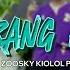 SO ORANG PUNYA COCO LENSE X PAMAN DIPAN X ZOOSKY BRASCO OFFICIAL MUSIC VIDEO