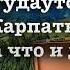 Людмила Улицкая 3 рассказа из сборника Люди нашего царя читает Артём Назаров