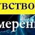 Фрэнк Кинслоу Эйфо чувство и сила Намерения Глава 6 Как работает квантовое смещение аудиокнига