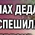 Подслушав странный разговор на похоронах деда Ксюша поспешила к старой яблоне А едва
