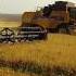 New Holland CS6090 Уборка пшеницы