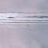 Alex Ratz Sea