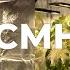 HPS Vs CMH Vs LED Should You Upgrade From HPS And MH