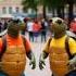 Turtle Dance Public Cute Funny Viral