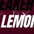 Dillon Francis VINNE Ft Dizzee Rascal Bonkers Again Lemons Mashup