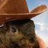 Justice For Peanut The Squirrel EPIC BALLAD Song Lyrics