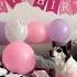 ROXY FOXY WOOF DAY Birthday Woofday Dog Presents Decoration