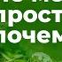 Не могу простить почему Священник Антоний Русакевич