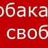 Сними намордник ты не собака сними намордник ты Человек