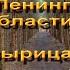 Жизнь в России В лесах Ленинградской области Вырица Онцевский лесопарк 29 октября