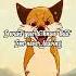 Wojownicy Edit Warriorcats Wariorcats Hollyleaf