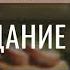 Переедание это грех Ефремов Г С Ответы на вопросы МСЦ ЕХБ