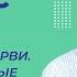 Тип Плоские черви Класс Ресничные Урок 6 Биология 7 класс