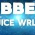 Juice WRLD Robbery Lyrics