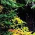 MODERN COUNTRY MUSIC Love Will Find You Again By Martin Carlberg IMUSIC 2018