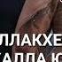 Винчу денца декъал войла везнариг