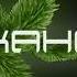 Заставка НТВ Наше кино 1998