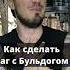 Как сделать Баг с Бульдогом в STALKER Тень Чернобыля