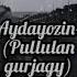 Aydayozin Pullulan Gurjagy